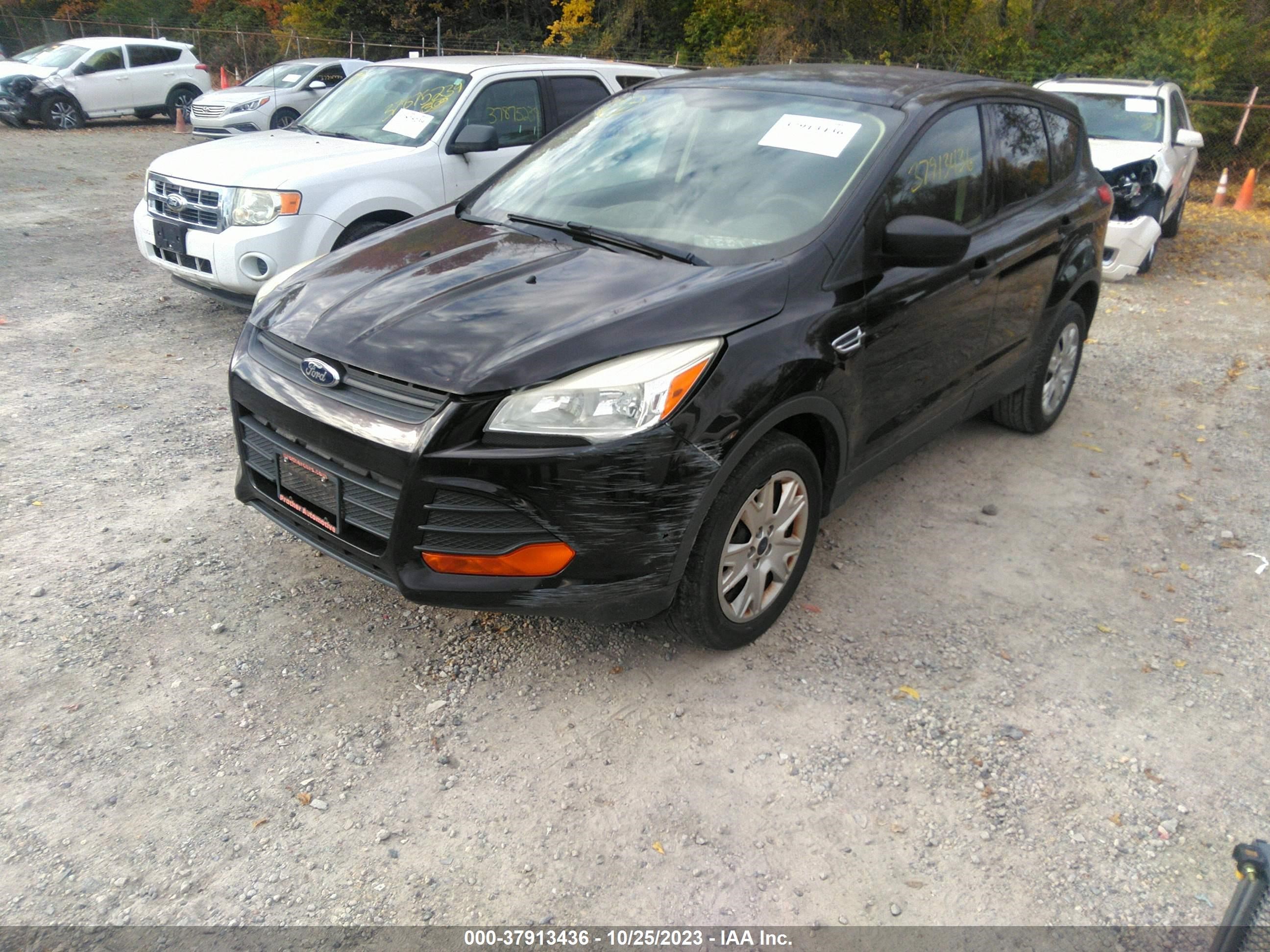 Photo 1 VIN: 1FMCU0F78DUB61633 - FORD ESCAPE 