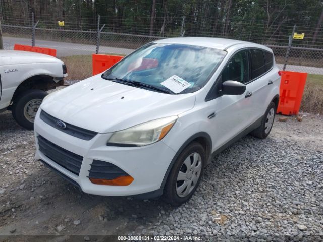 Photo 1 VIN: 1FMCU0F78DUD12440 - FORD ESCAPE 