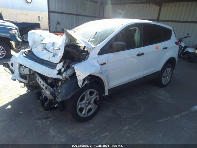 Photo 1 VIN: 1FMCU0F78DUD24099 - FORD ESCAPE 