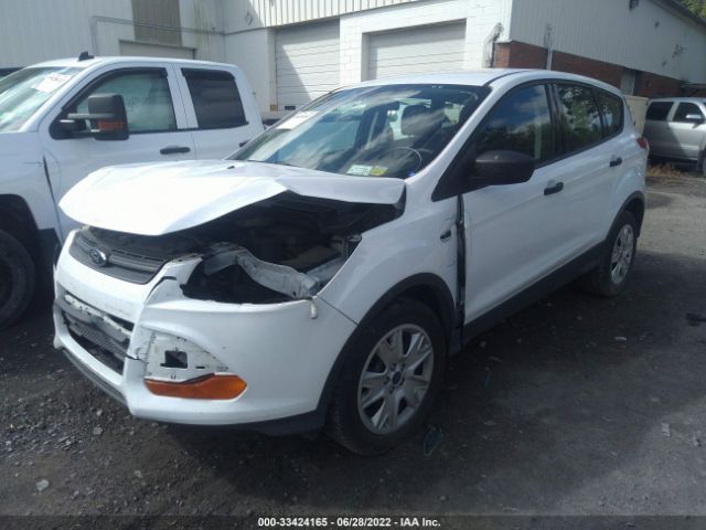 Photo 1 VIN: 1FMCU0F78EUB19688 - FORD ESCAPE 