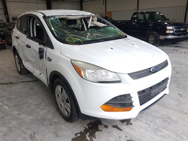 Photo 0 VIN: 1FMCU0F78EUC66447 - FORD ESCAPE S 