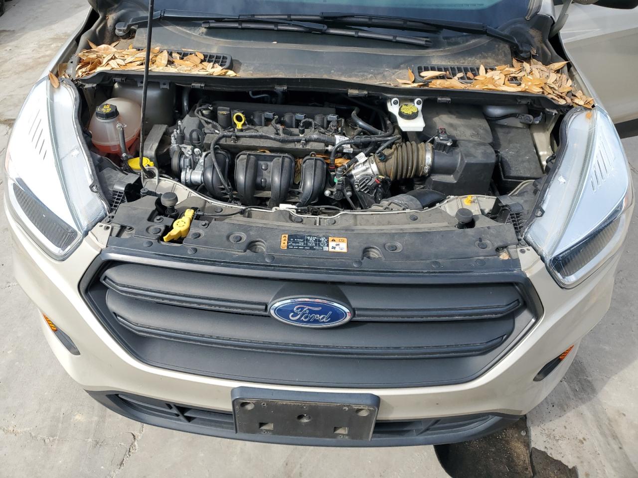 Photo 11 VIN: 1FMCU0F78HUA61165 - FORD ESCAPE 