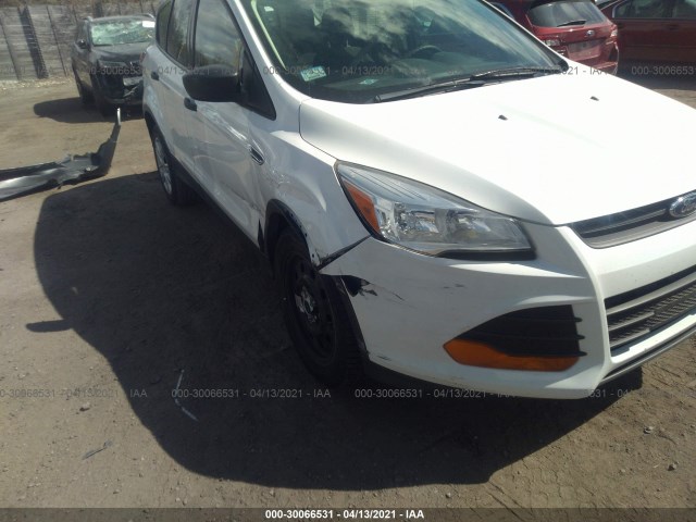 Photo 5 VIN: 1FMCU0F79EUC13871 - FORD ESCAPE 