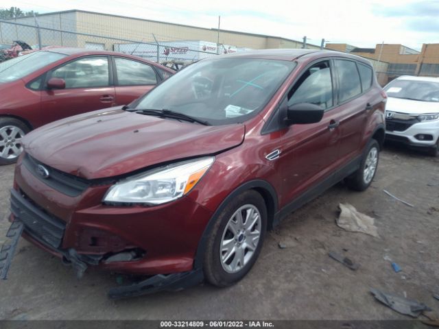 Photo 1 VIN: 1FMCU0F7XEUA03618 - FORD ESCAPE 