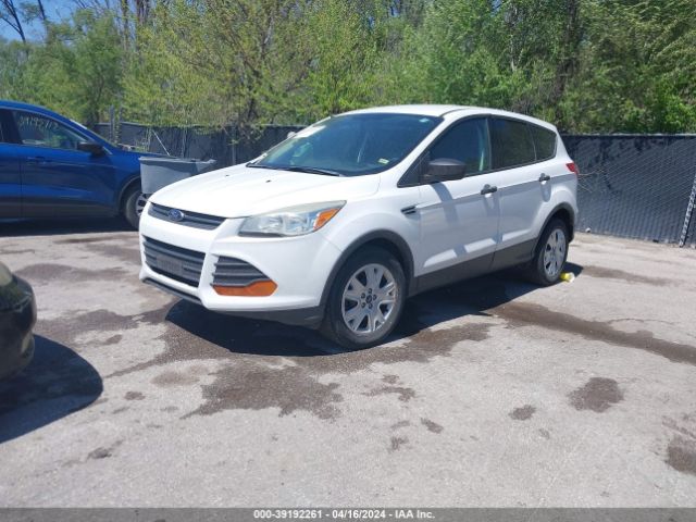 Photo 1 VIN: 1FMCU0F7XEUB62090 - FORD ESCAPE 