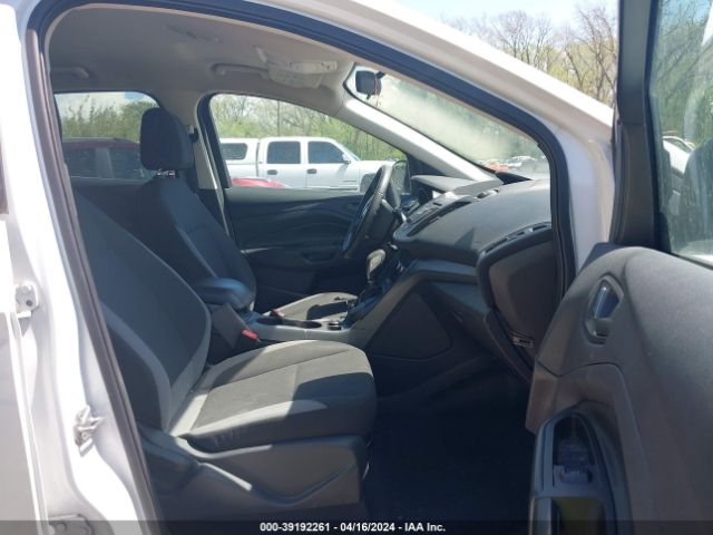 Photo 4 VIN: 1FMCU0F7XEUB62090 - FORD ESCAPE 