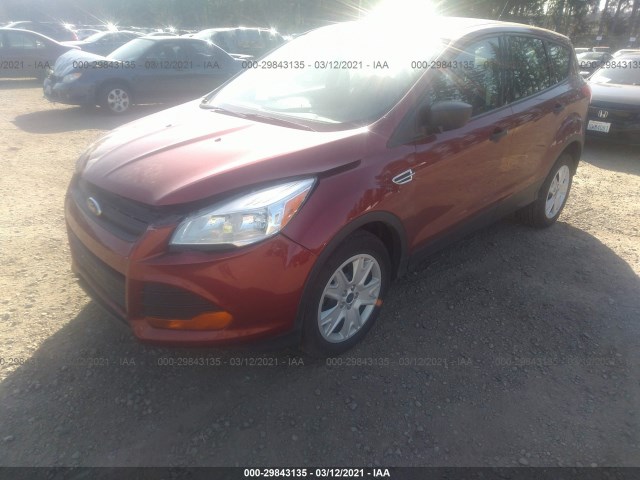 Photo 1 VIN: 1FMCU0F7XEUC09974 - FORD ESCAPE 