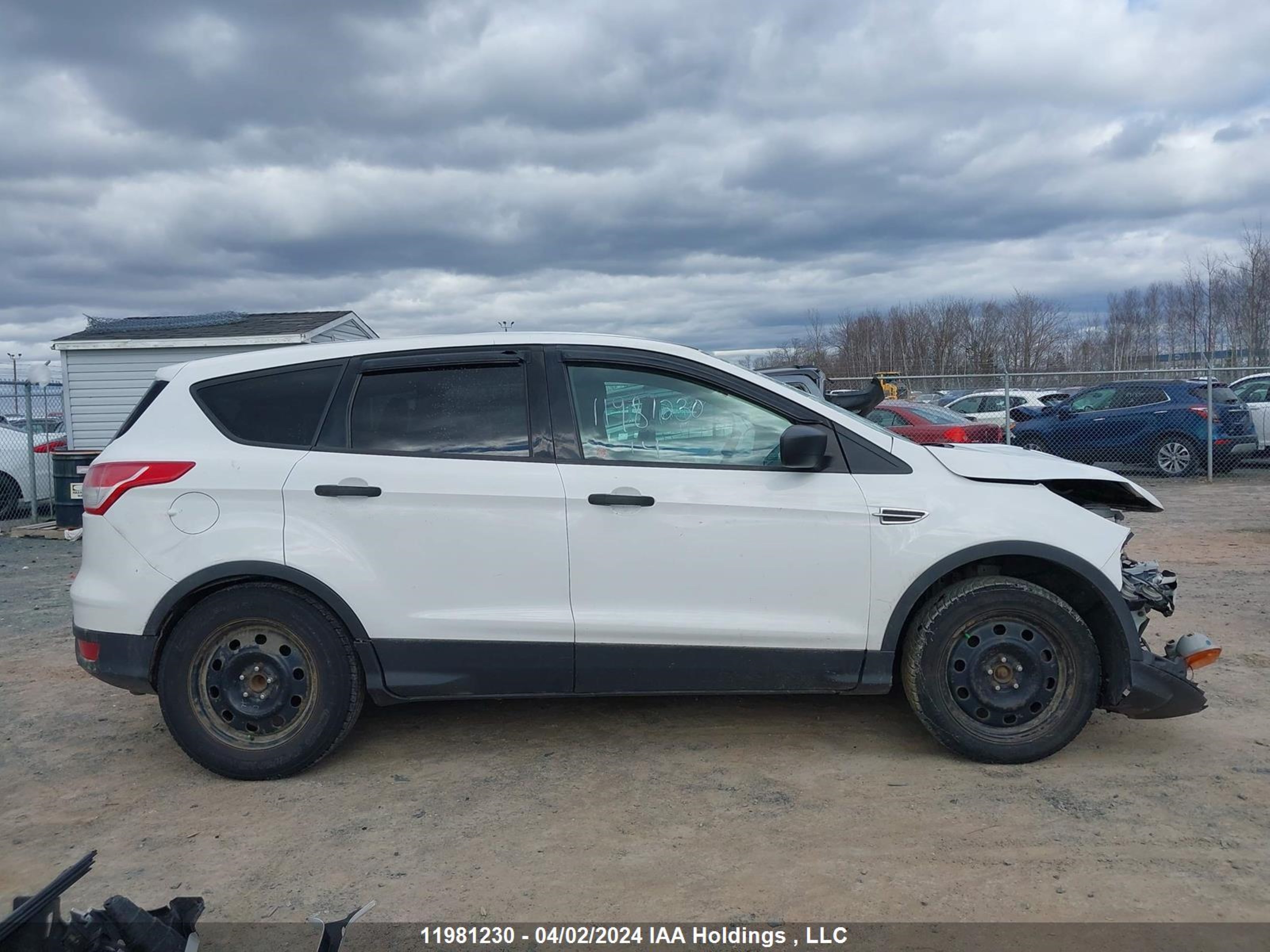 Photo 13 VIN: 1FMCU0F7XEUC55207 - FORD ESCAPE 