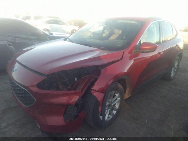 Photo 1 VIN: 1FMCU0G61LUC48990 - FORD ESCAPE 