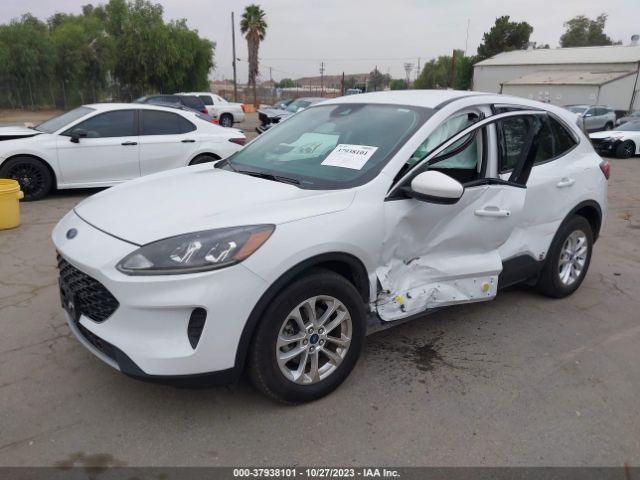 Photo 1 VIN: 1FMCU0G61MUA24460 - FORD ESCAPE 