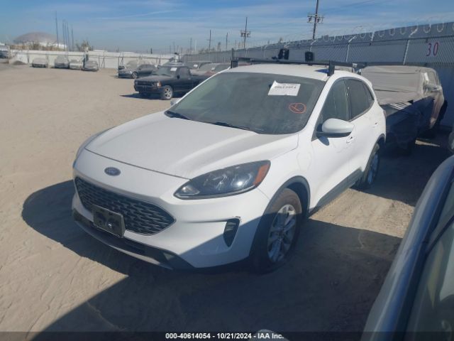 Photo 1 VIN: 1FMCU0G62LUB44847 - FORD ESCAPE 