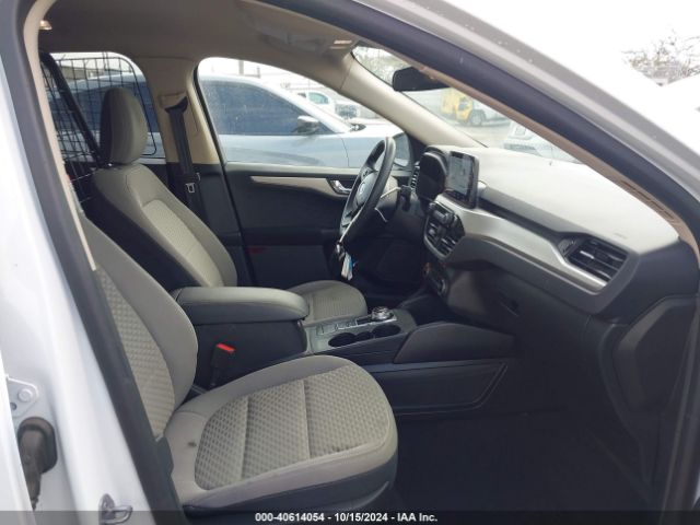 Photo 4 VIN: 1FMCU0G62LUB44847 - FORD ESCAPE 