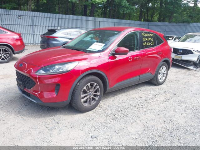 Photo 1 VIN: 1FMCU0G64MUA25747 - FORD ESCAPE 