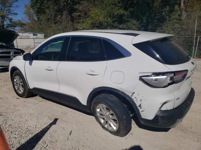 Photo 1 VIN: 1FMCU0G64MUB28313 - FORD ESCAPE SE 