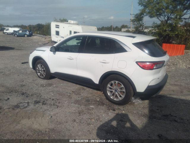 Photo 2 VIN: 1FMCU0G66MUA86159 - FORD ESCAPE 