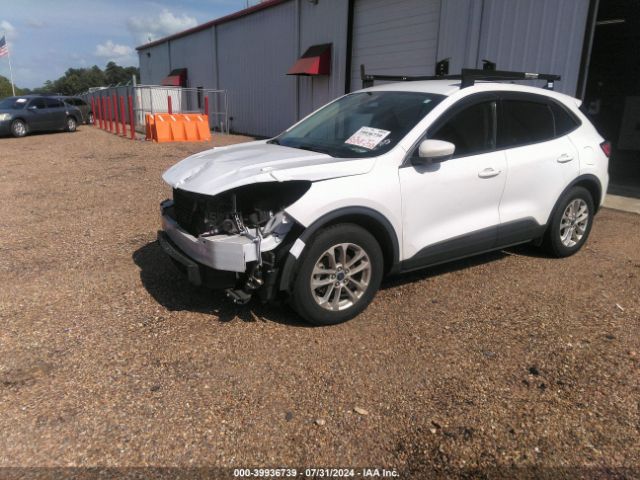 Photo 1 VIN: 1FMCU0G67LUB49557 - FORD ESCAPE 