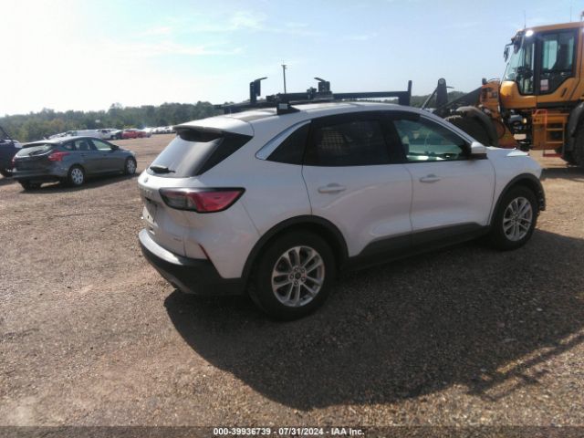 Photo 3 VIN: 1FMCU0G67LUB49557 - FORD ESCAPE 