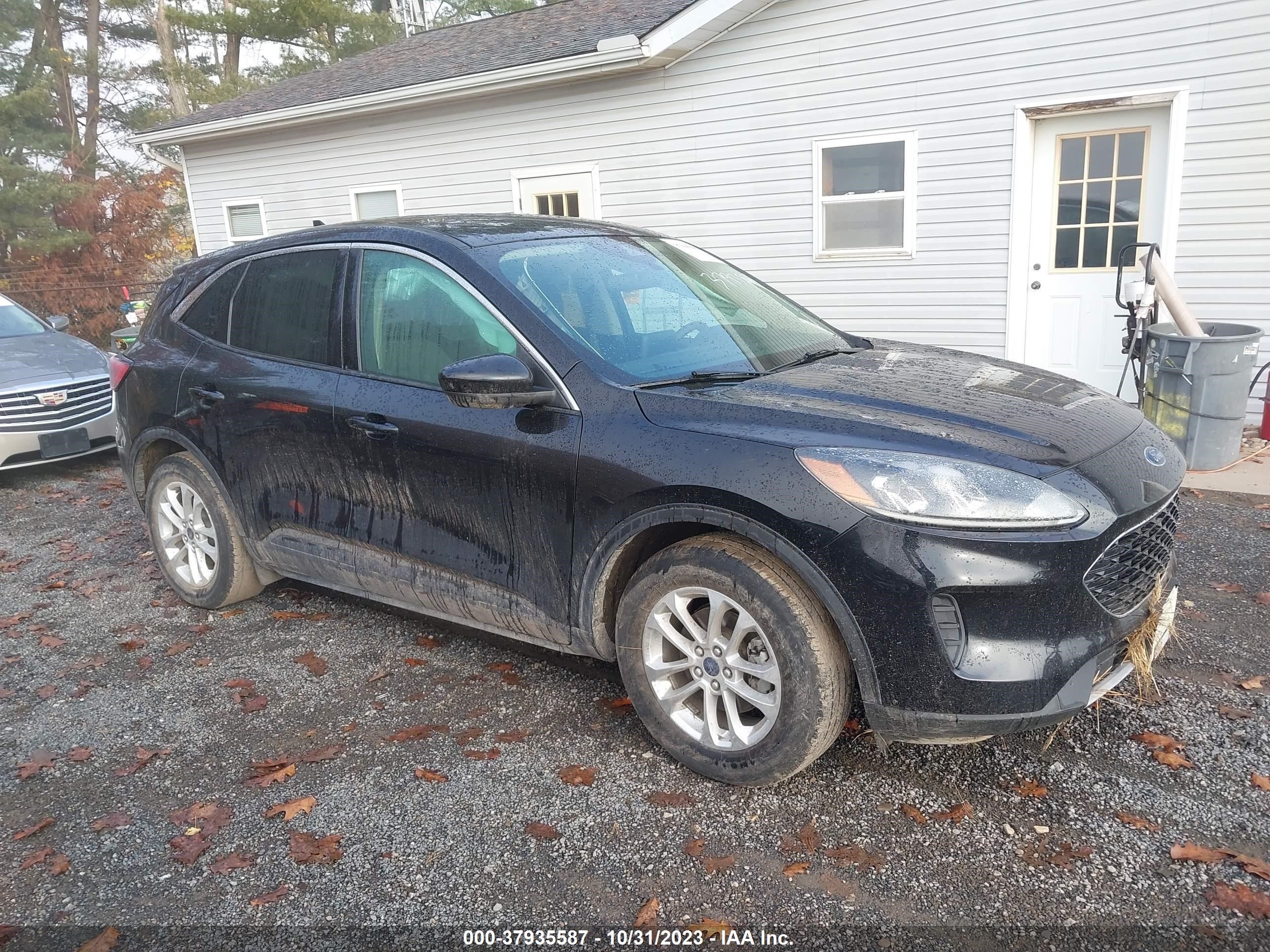 Photo 0 VIN: 1FMCU0G68LUA28536 - FORD ESCAPE 