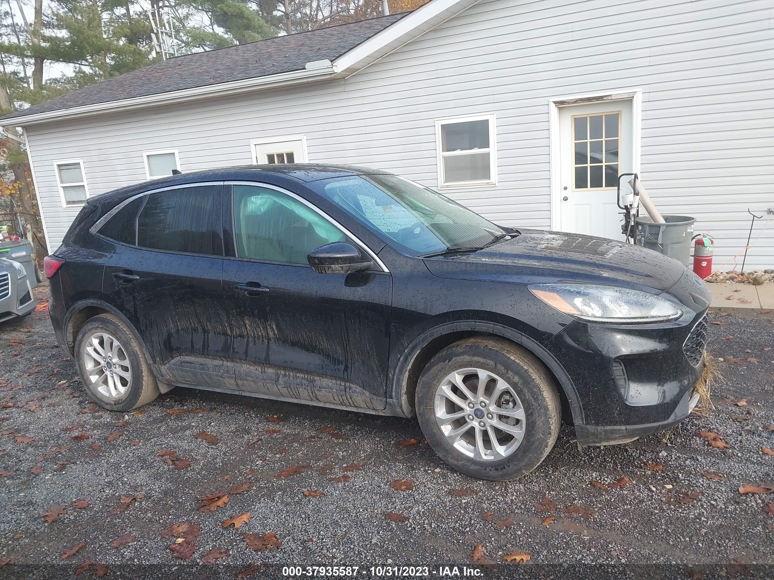 Photo 12 VIN: 1FMCU0G68LUA28536 - FORD ESCAPE 