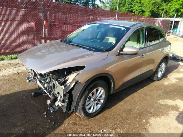 Photo 1 VIN: 1FMCU0G69LUB02773 - FORD ESCAPE 