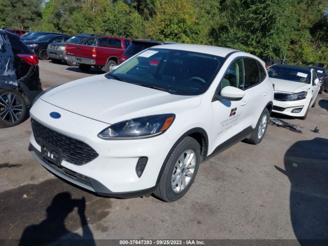 Photo 1 VIN: 1FMCU0G69LUC11394 - FORD ESCAPE 