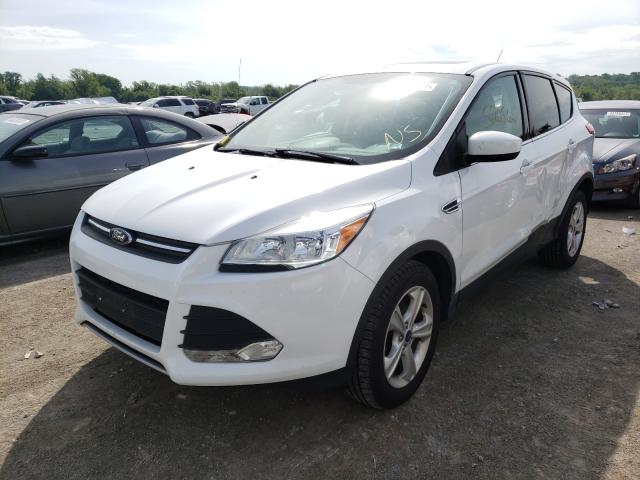 Photo 1 VIN: 1FMCU0G70FUB34721 - FORD ESCAPE 