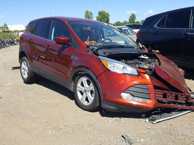 Photo 0 VIN: 1FMCU0G70GUB56140 - FORD ESCAPE 