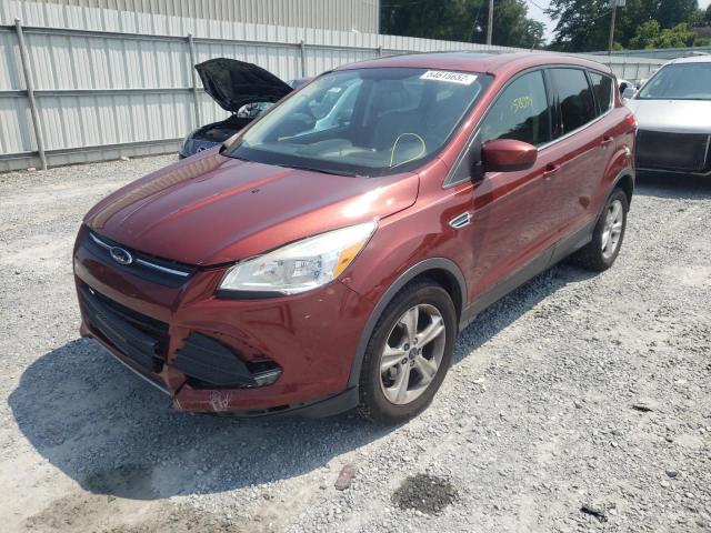 Photo 1 VIN: 1FMCU0G71FUA03507 - FORD ESCAPE 