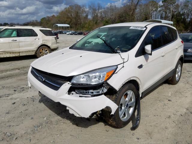 Photo 1 VIN: 1FMCU0G71GUB30081 - FORD ESCAPE 