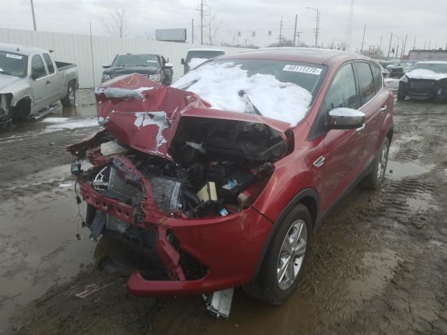 Photo 8 VIN: 1FMCU0G71GUC74956 - FORD ESCAPE SE 