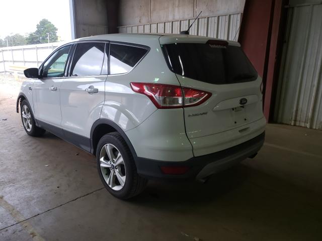 Photo 2 VIN: 1FMCU0G72FUB80244 - FORD ESCAPE SE 