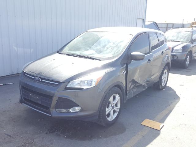 Photo 1 VIN: 1FMCU0G72GUA53186 - FORD ESCAPE 