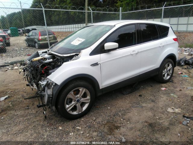 Photo 1 VIN: 1FMCU0G74GUA26328 - FORD ESCAPE 