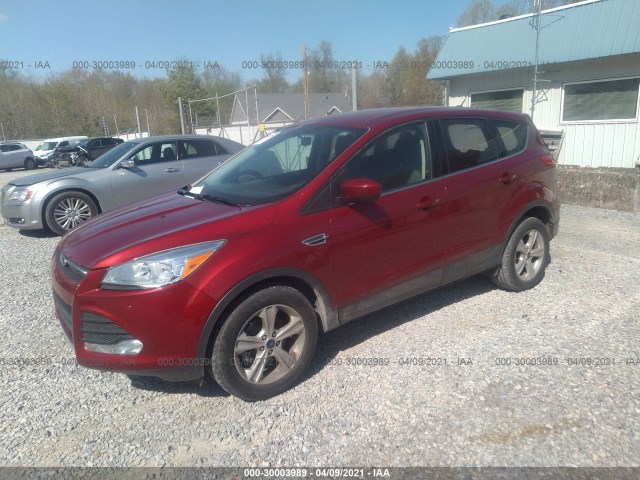 Photo 1 VIN: 1FMCU0G75FUB36335 - FORD ESCAPE 