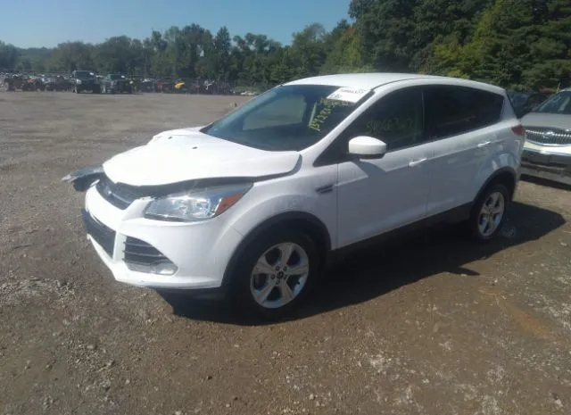 Photo 1 VIN: 1FMCU0G75GUB92812 - FORD ESCAPE 