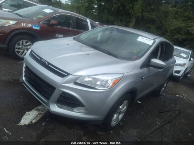 Photo 1 VIN: 1FMCU0G77GUB29193 - FORD ESCAPE 