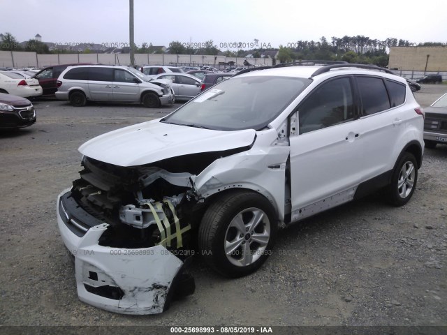 Photo 1 VIN: 1FMCU0G78FUB53632 - FORD ESCAPE 