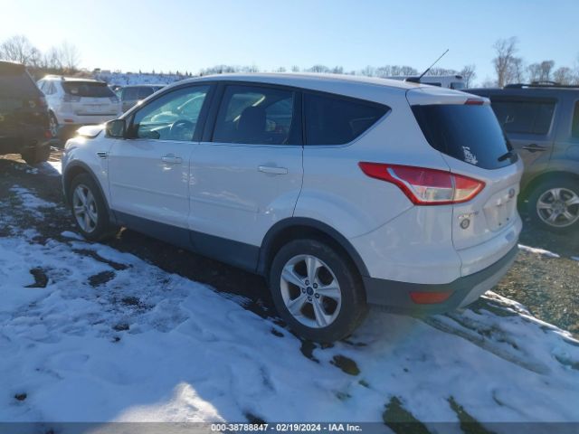 Photo 2 VIN: 1FMCU0G78GUA48395 - FORD ESCAPE 