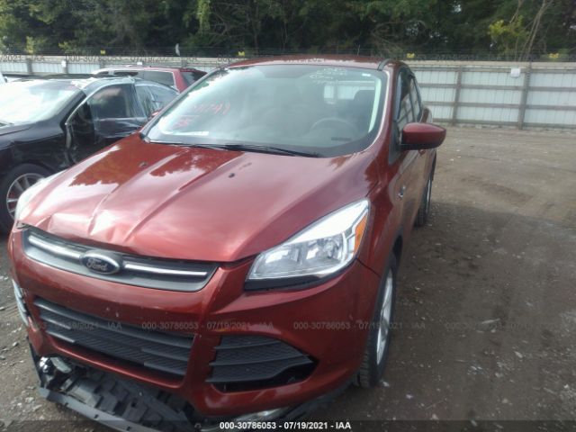 Photo 1 VIN: 1FMCU0G79GUB30359 - FORD ESCAPE 