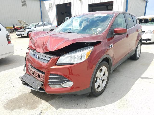 Photo 1 VIN: 1FMCU0G79GUB52491 - FORD ESCAPE SE 