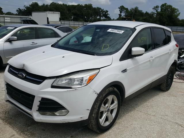 Photo 1 VIN: 1FMCU0G7XFUA42287 - FORD ESCAPE SE 