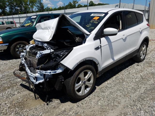 Photo 1 VIN: 1FMCU0G7XFUA87388 - FORD ESCAPE SE 