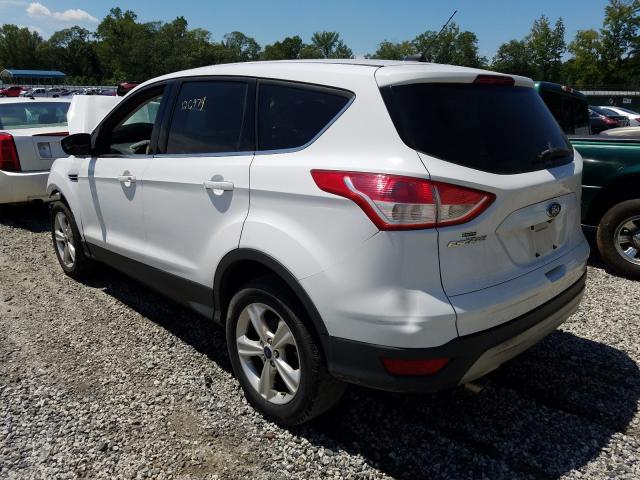 Photo 2 VIN: 1FMCU0G7XFUA87388 - FORD ESCAPE SE 