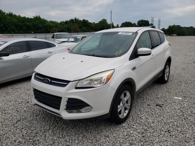 Photo 1 VIN: 1FMCU0G90DUC26572 - FORD ESCAPE SE 