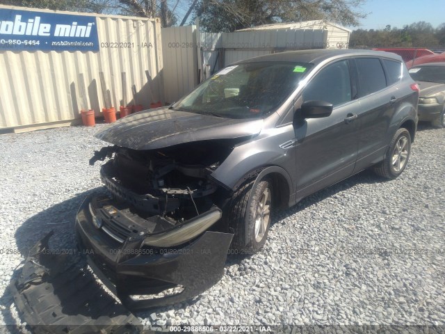 Photo 1 VIN: 1FMCU0G90EUA46607 - FORD ESCAPE 