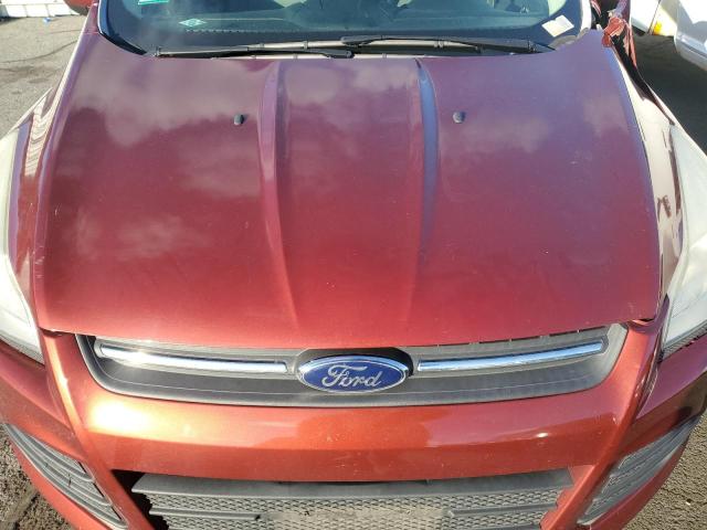 Photo 11 VIN: 1FMCU0G90EUB11021 - FORD ESCAPE 