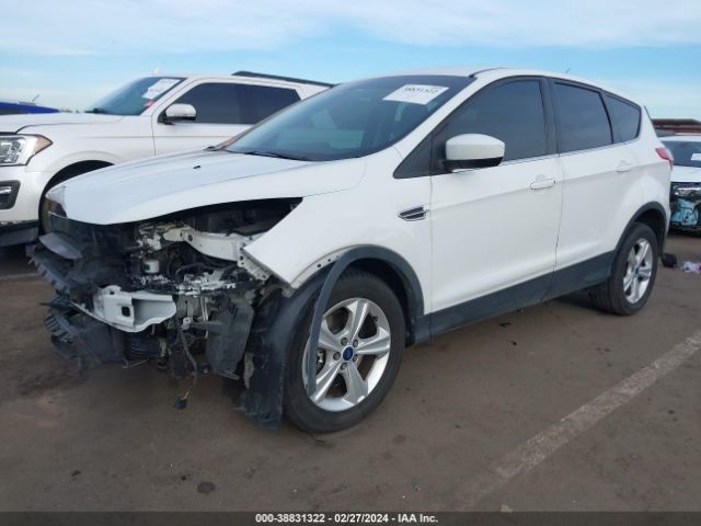 Photo 1 VIN: 1FMCU0G90EUB85331 - FORD ESCAPE 