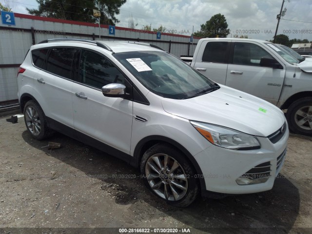 Photo 0 VIN: 1FMCU0G90EUC16349 - FORD ESCAPE 