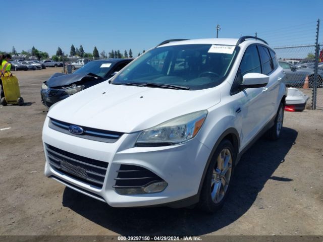 Photo 1 VIN: 1FMCU0G90EUD08707 - FORD ESCAPE 