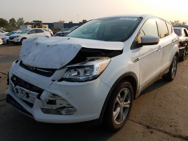 Photo 1 VIN: 1FMCU0G90EUD38435 - FORD ESCAPE SE 